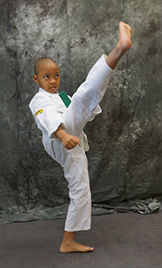 Tae Ryu Jitsu Martial Arts Boy - Florissant, MO
