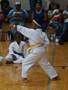 Tae Ryu Jitsu Martial Arts Girl - Florissant, MO