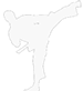 Karate Guy Picture